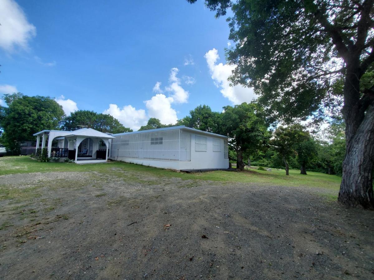 Crab Island Adventures Apartments Vieques Ngoại thất bức ảnh
